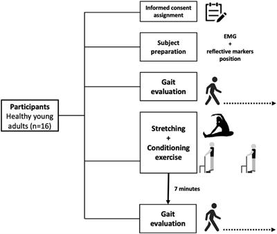 The acute effects of a stretching and conditioning exercise protocol for the lower limbs on gait performance- a proof of concept and single-blind study